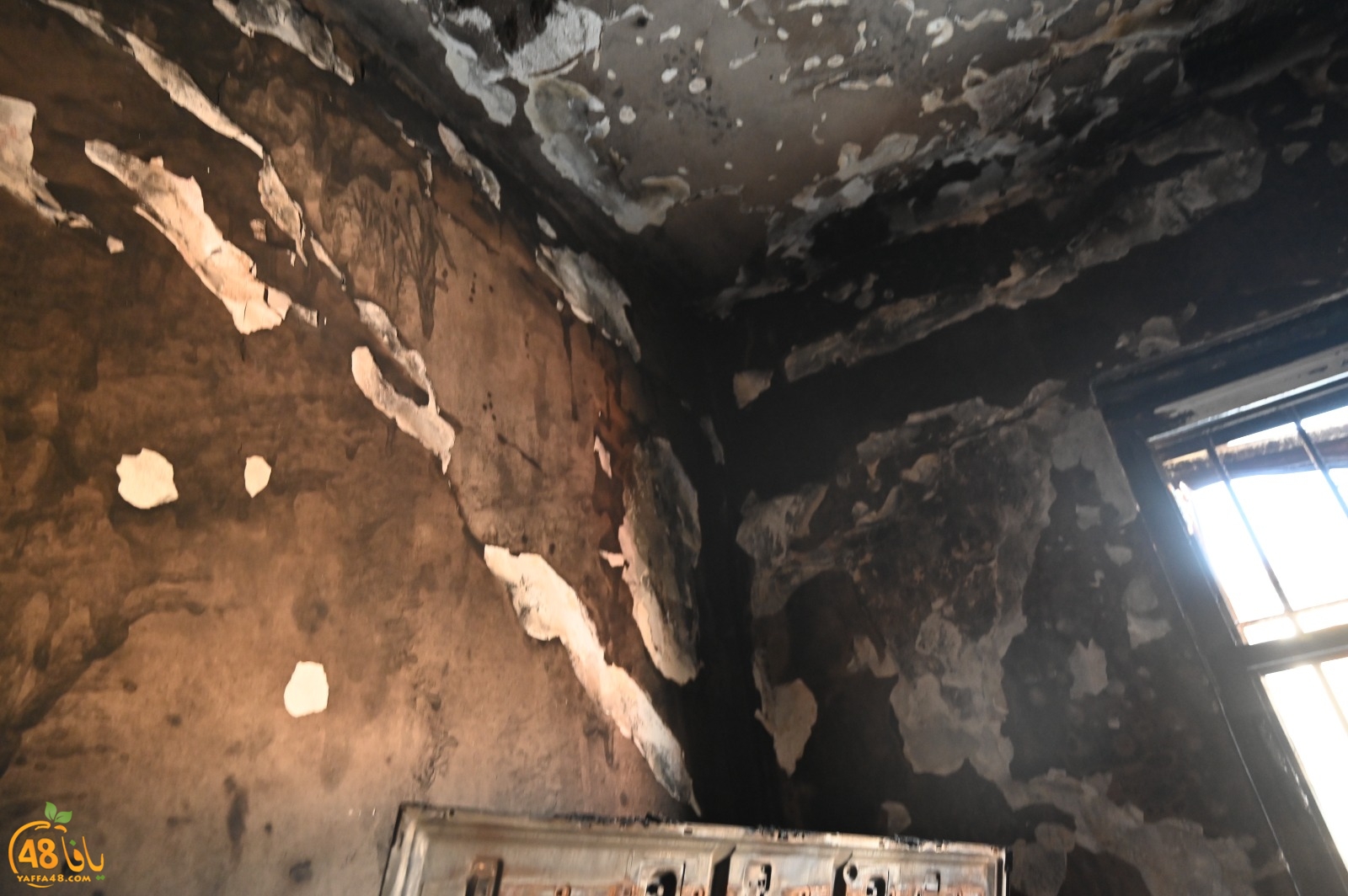 WhatsApp Image 2023-08-03 at 6.57.15 PM.jpg